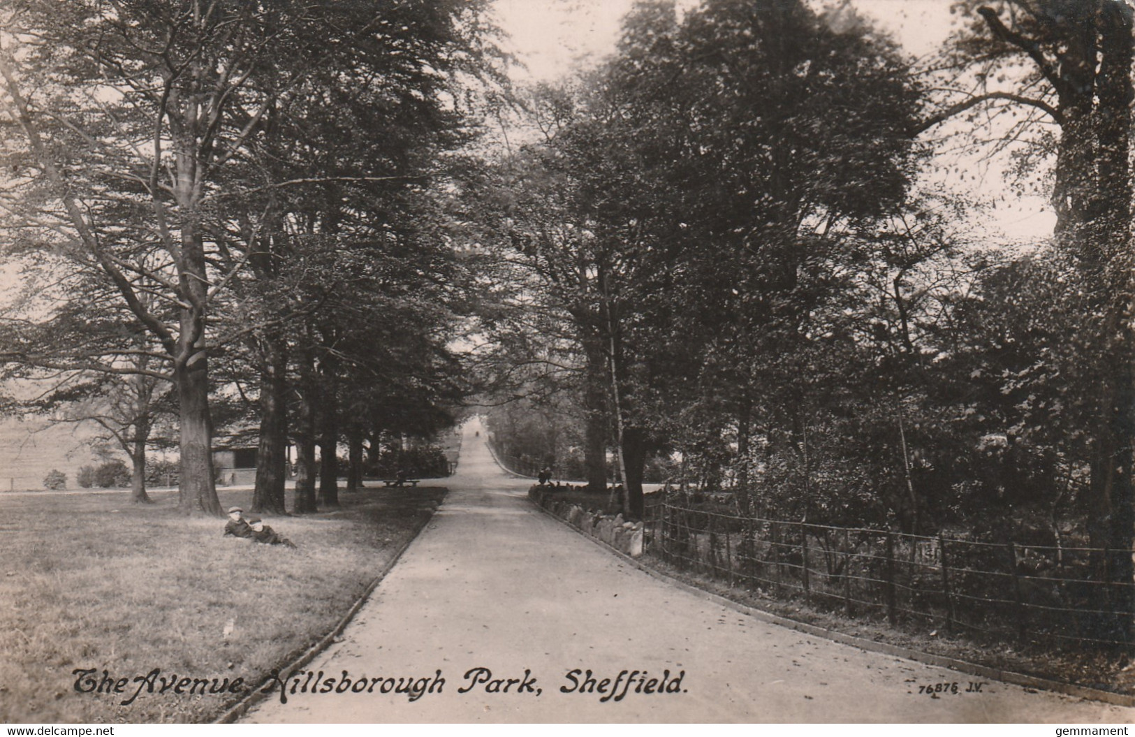 SHEFFIELD -  HILLSBOROUGH PARK. - THE AVENUE - Sheffield