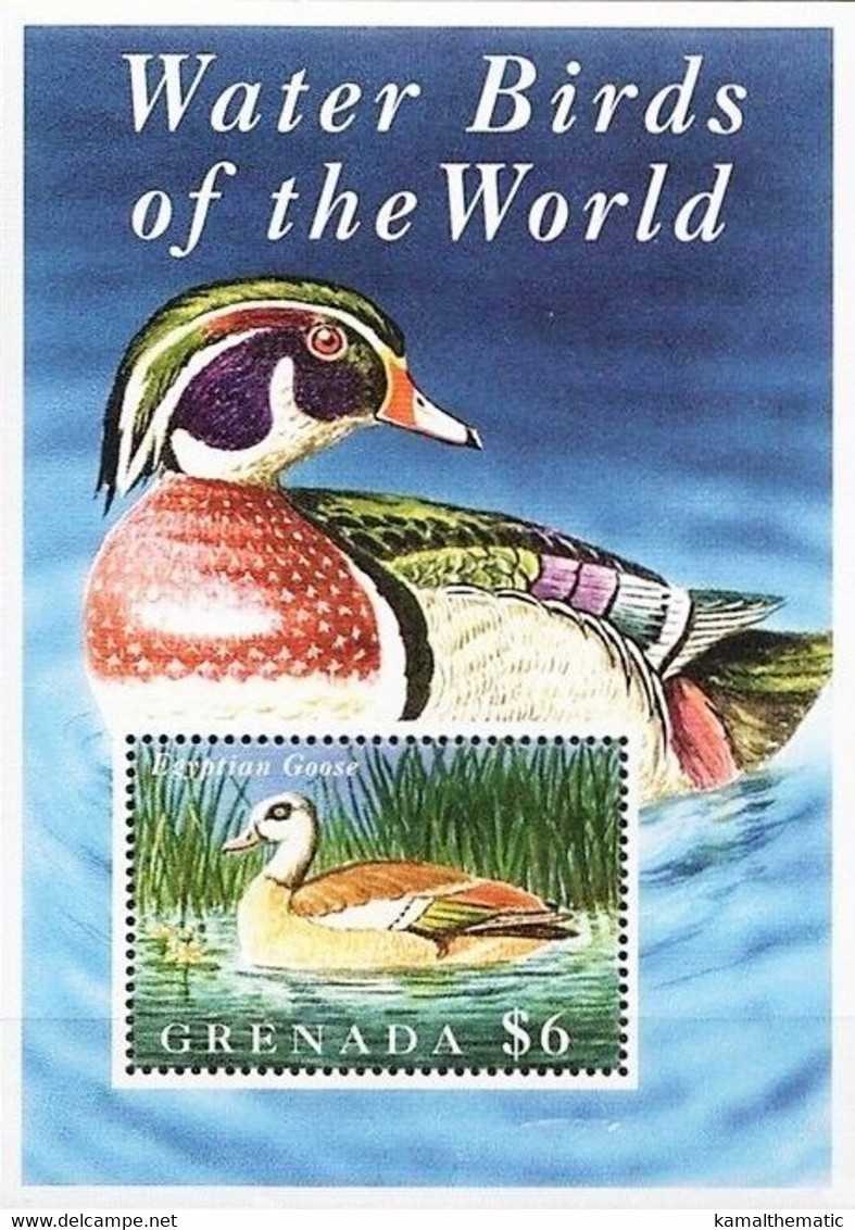 Grenada 1995 MNH MS, Water Birds, Egyptian Goose - Oies