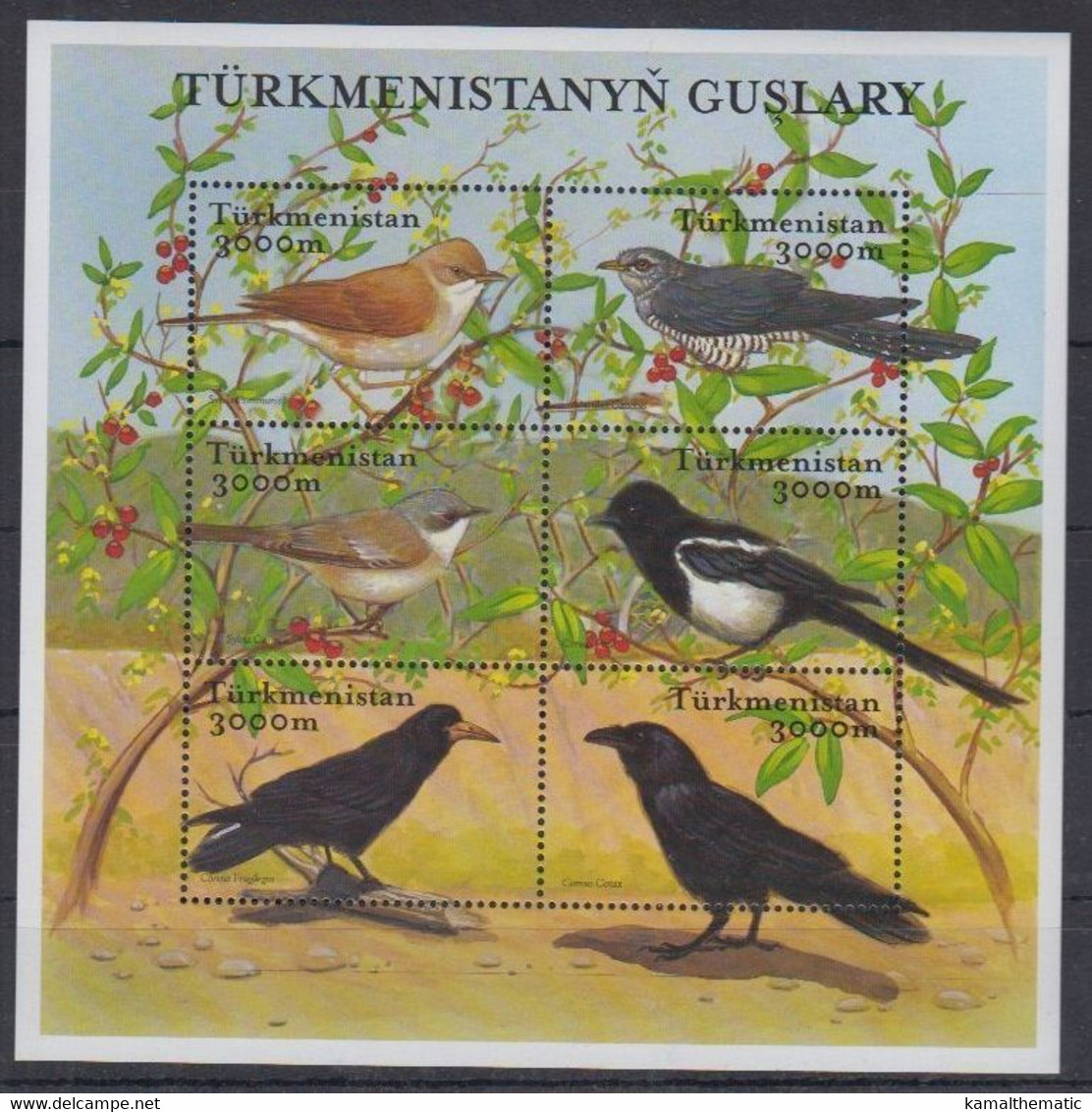 Turkmenistan 2002 MNH SS, Birds, Magpie, Rook, Whitethroat, Cuckoo - Cuckoos & Turacos