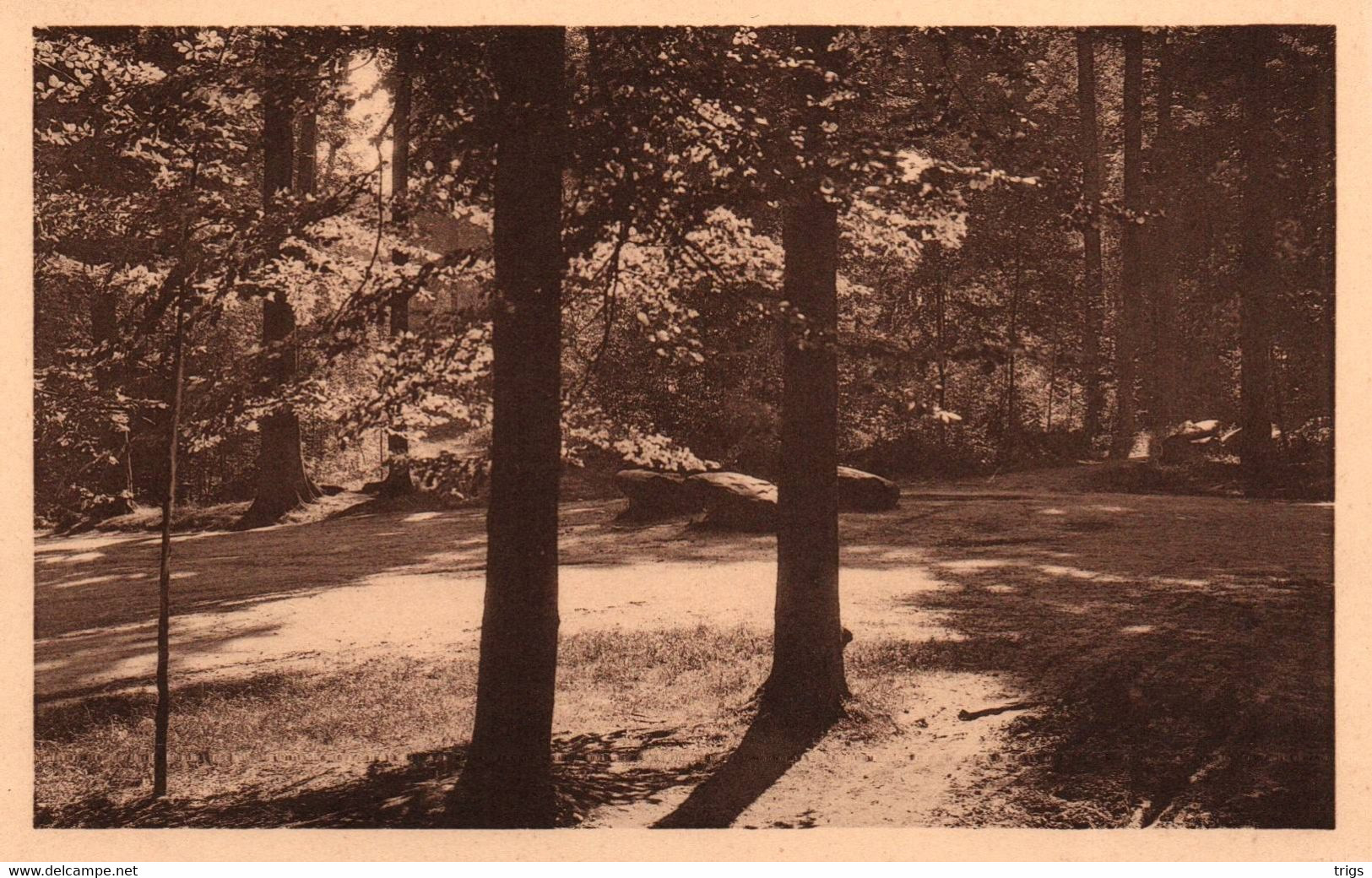 Tervueren (le Parc) - Chemin De L'Étoile Et "Dolmen" - Tervuren