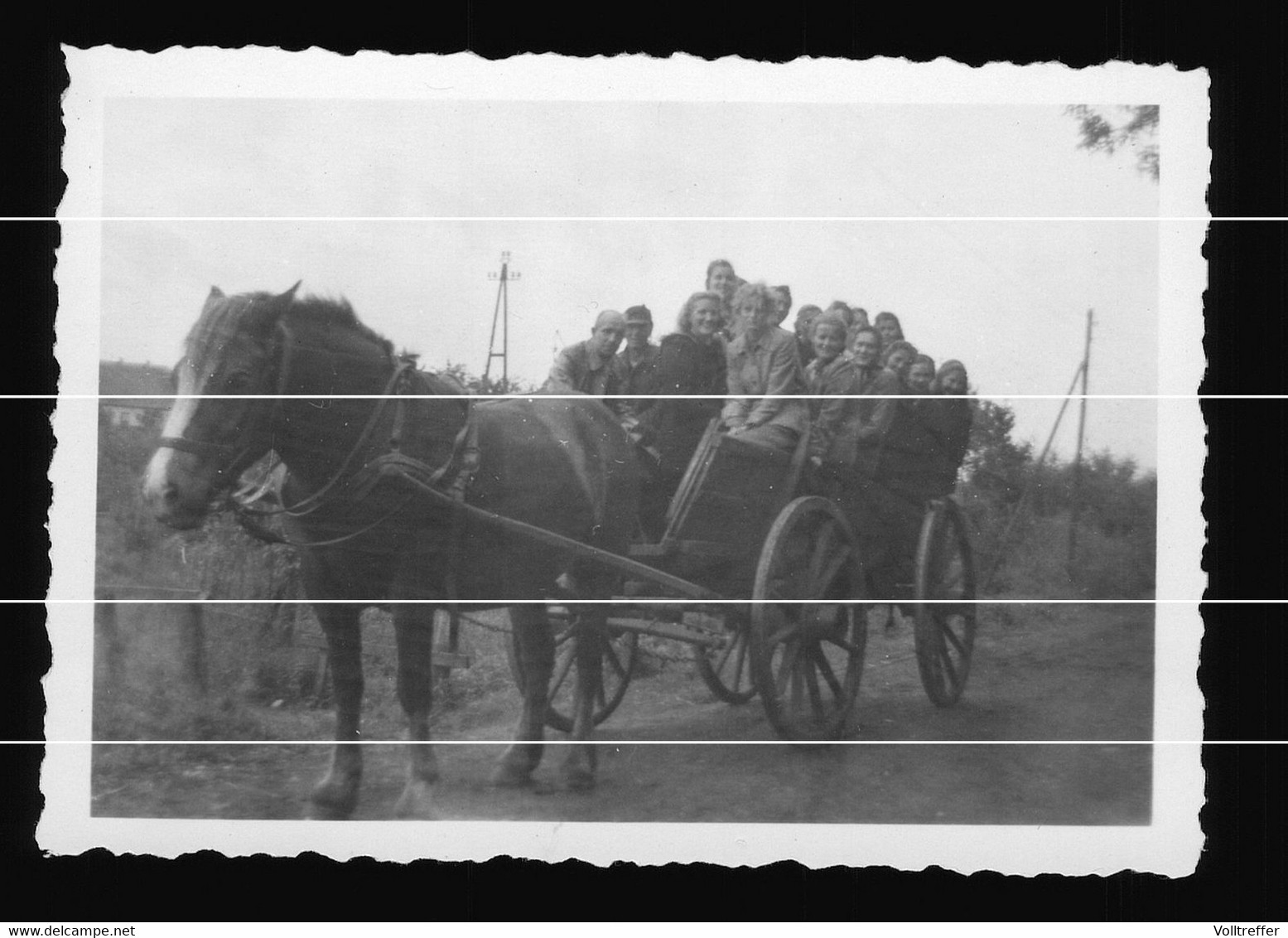 Orig. Foto 1948 Ortspartie Bederkesa Geestland, Junge Mädchen + Jungen Auf Pferde Fuhrwerk Unterwegs - Bad Bederkesa