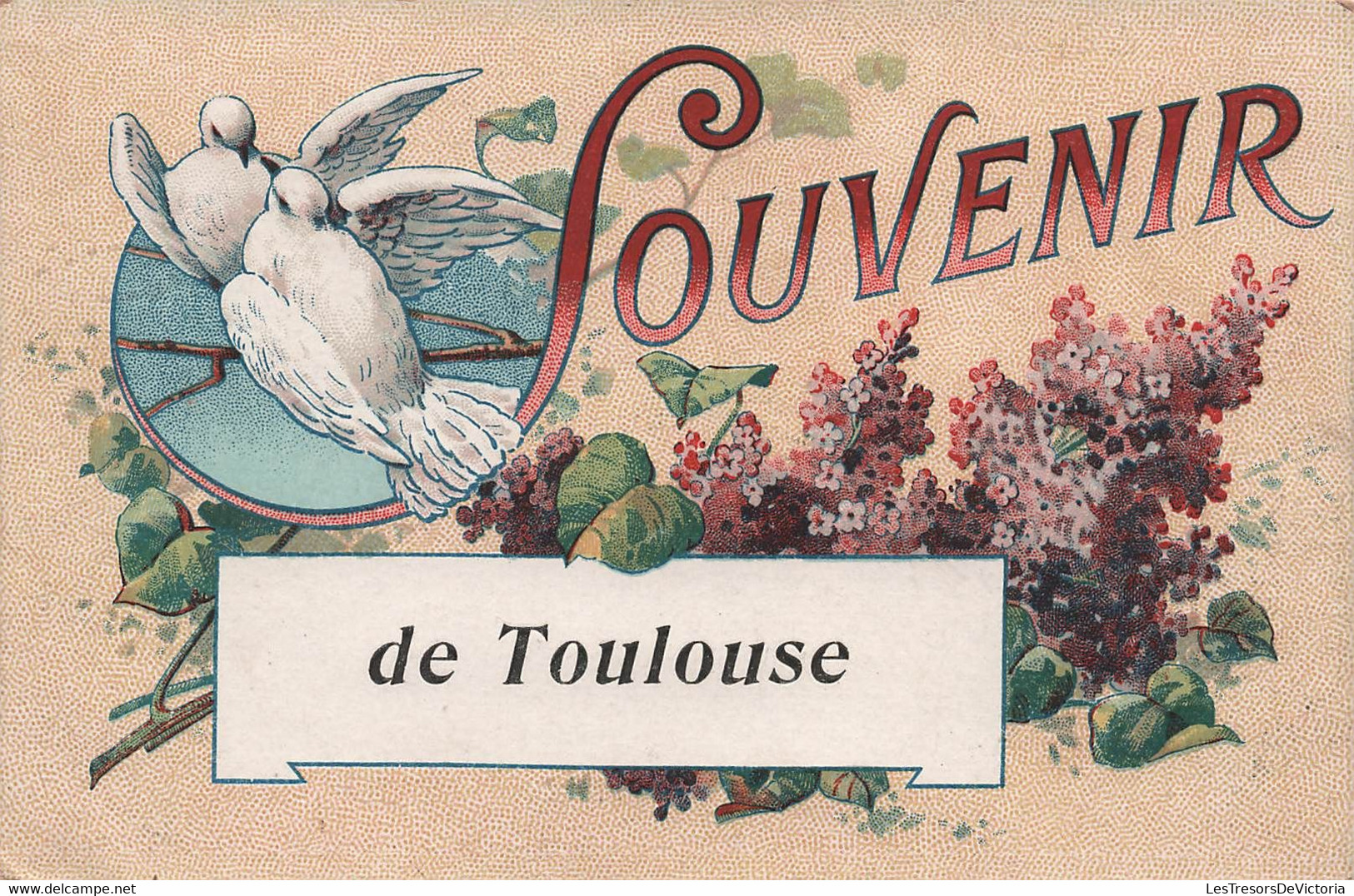 CPA Souvenir De Toulouse - Colombes - - Toulouse