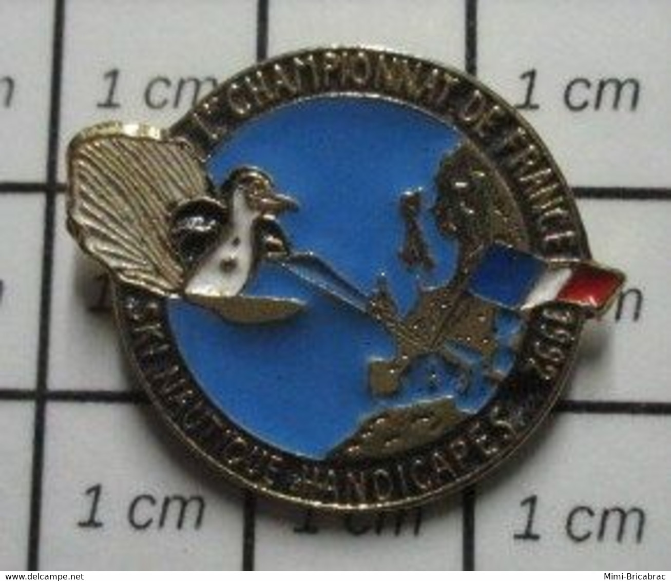 1310 Pin's Pins / Beau Et Rare / SPORTS / Rare De Chez Rare CHAMPIONNAT DE FRANCE SKI NAUTIQUE HANDICAPES !!!1992 - Ski Nautique