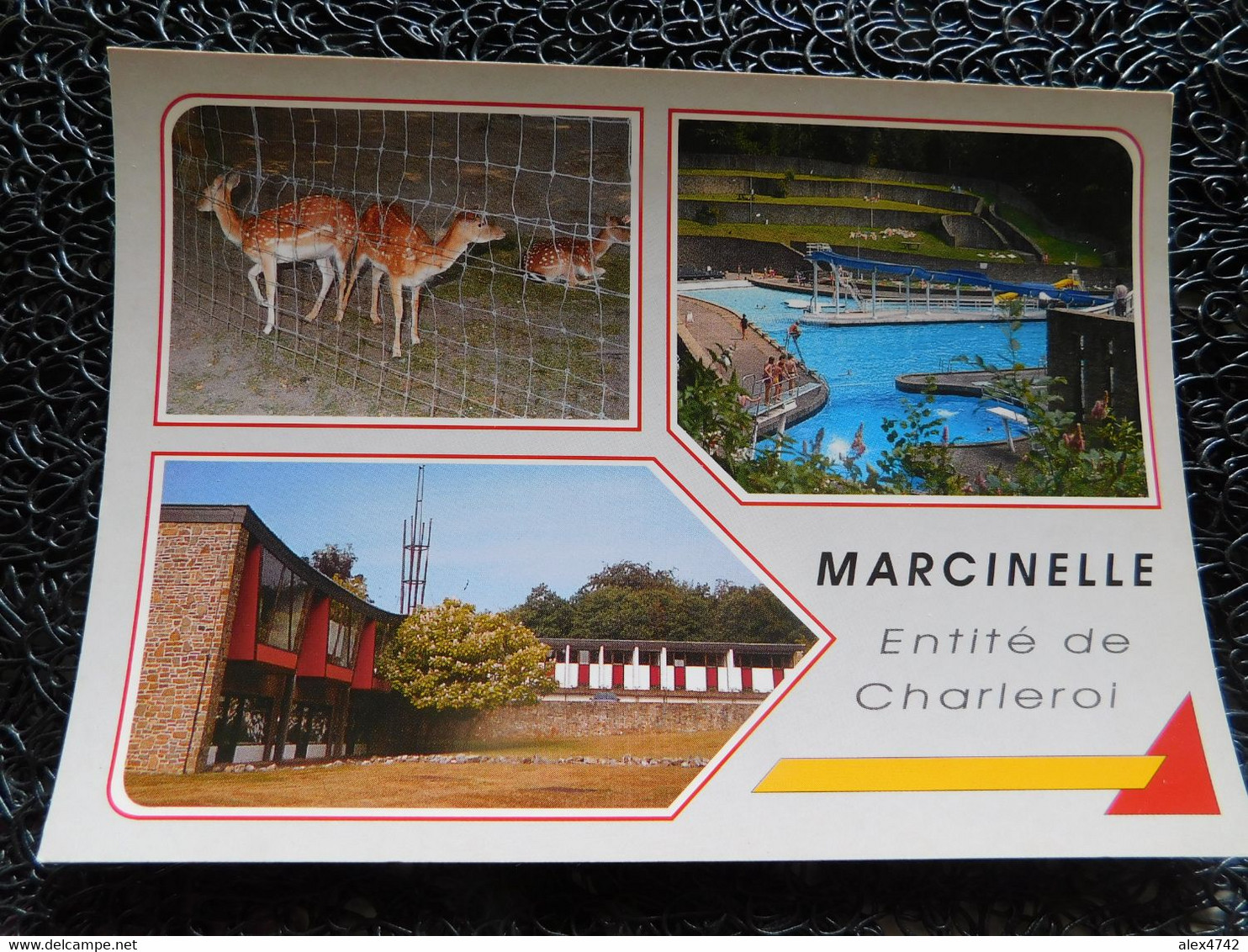 Marcinelle, Centre De Délassement, Parc Animalier (P13) - Charleroi
