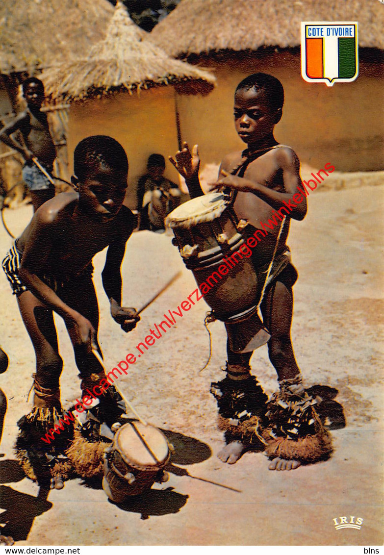 Jeunes Musiciens Baoulé - Côte D'Ivoire Ivory Coast - Côte-d'Ivoire