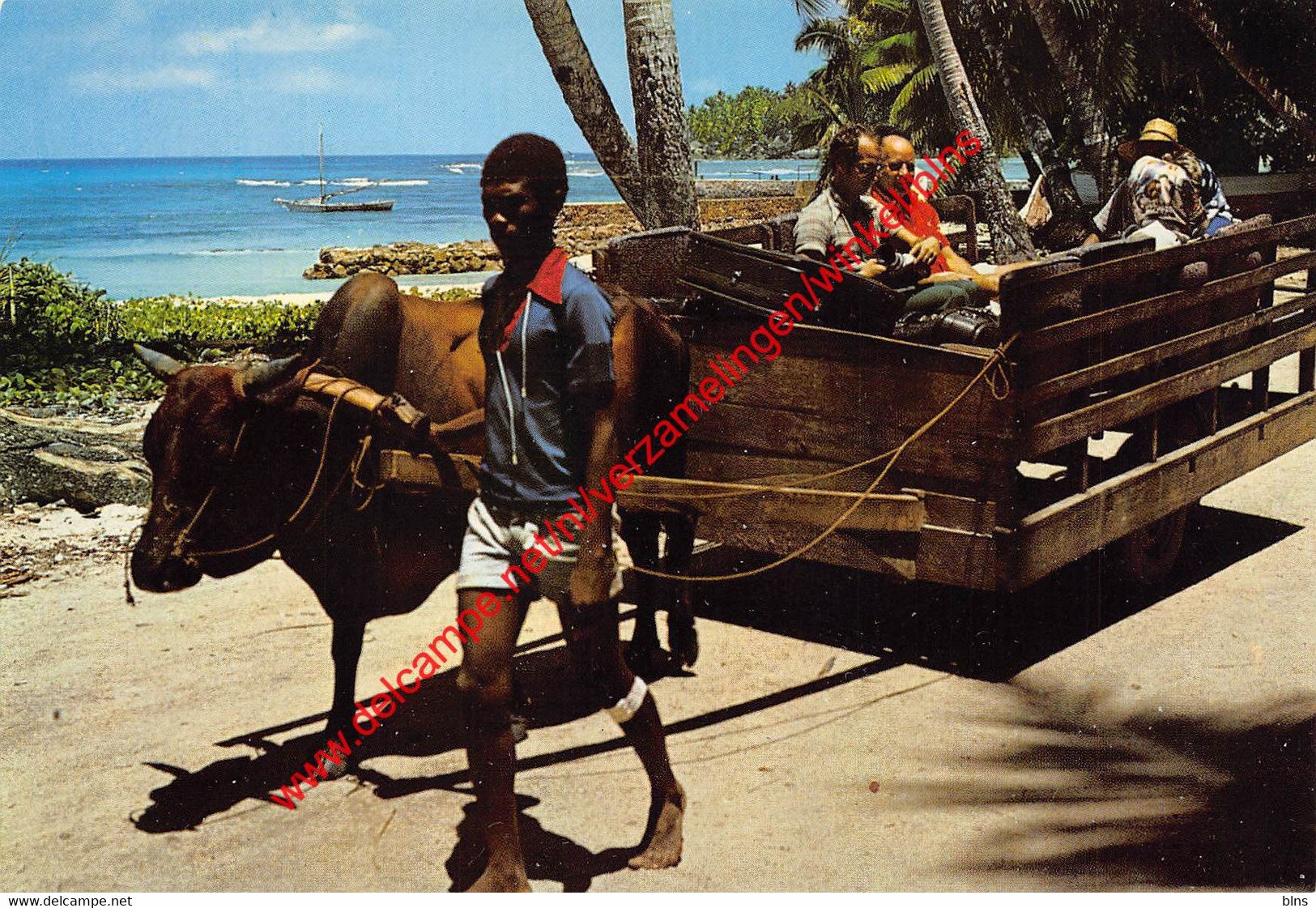 Seychelles - Ox Cart - La Digue - Seychelles