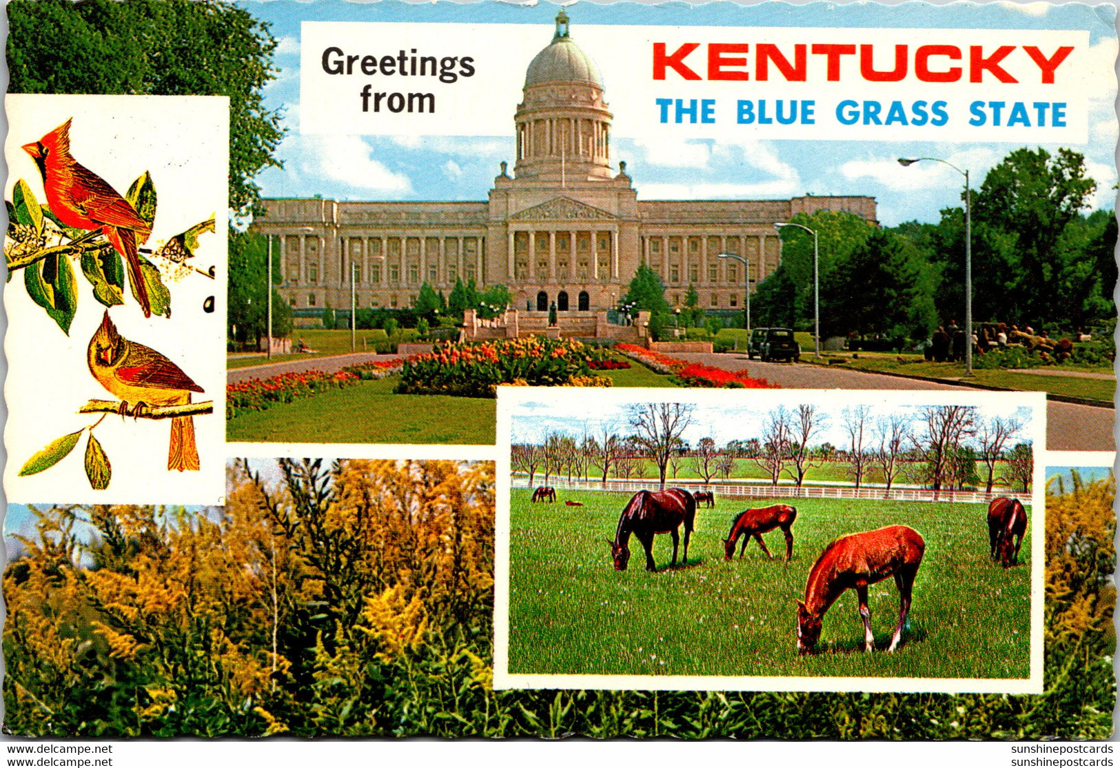 Kentucky Greetings From The Bluegrass State - Souvenir De...