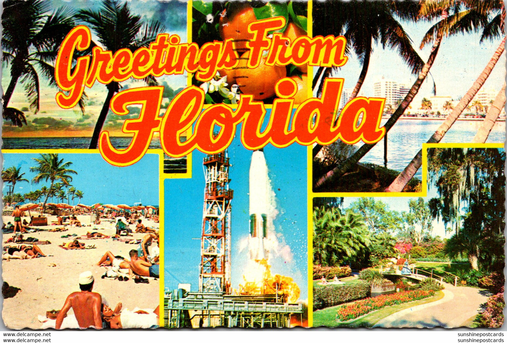 Florida Greetings Multi View 1979 - Souvenir De...