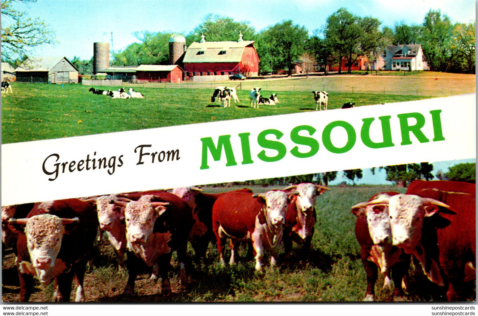 Greetings From Missouri With Farm Scene And Cattle - Souvenir De...