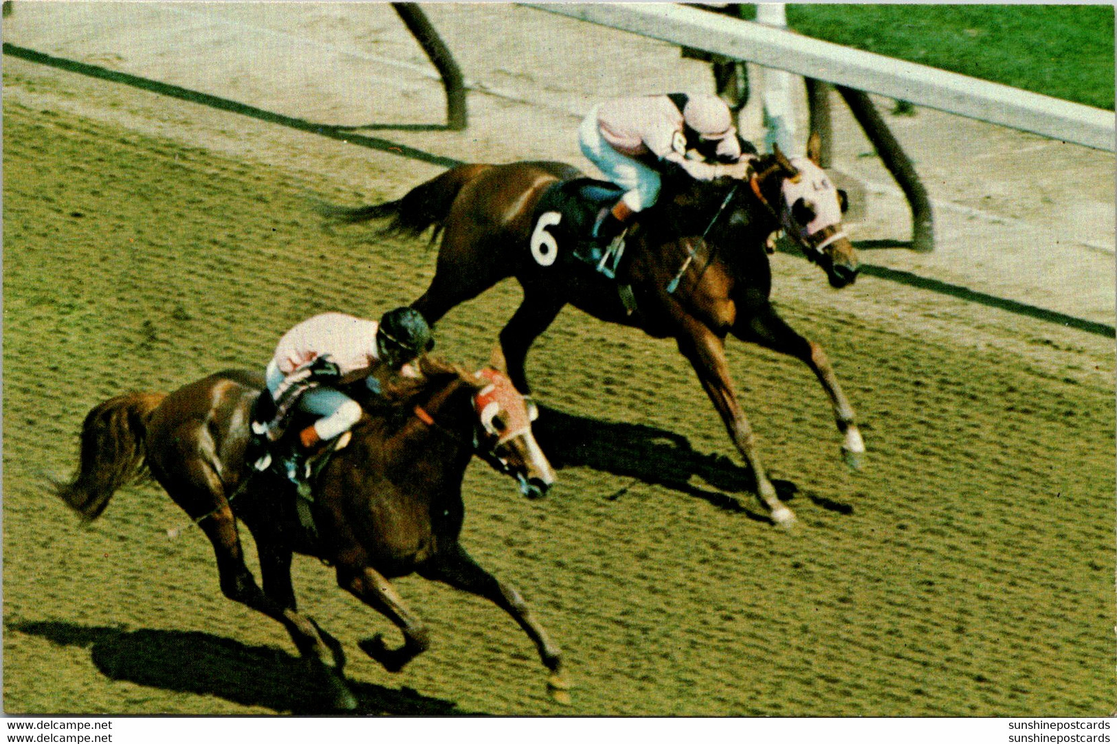 West Virginia Charles Town Race Track Horses Into The Stretch - Autres & Non Classés