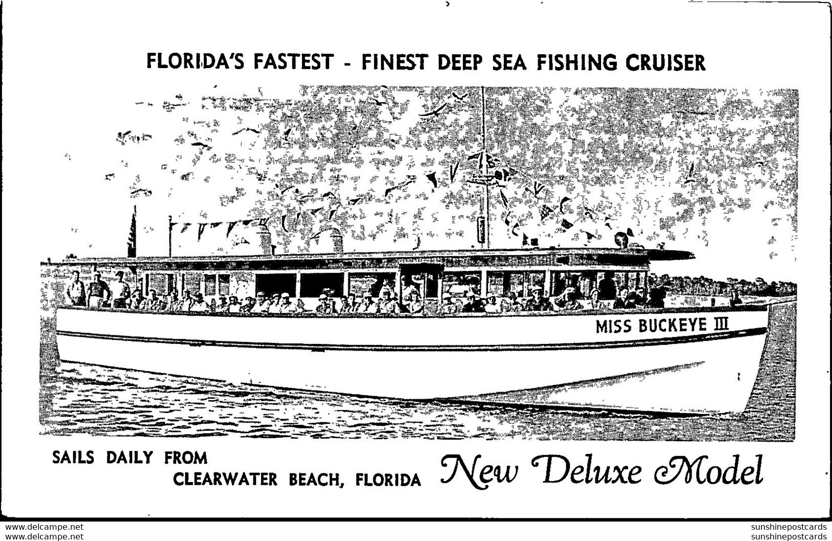 Florida Clearwater Miss Buckeye III Deep Sea Fishing Cruiser - Clearwater