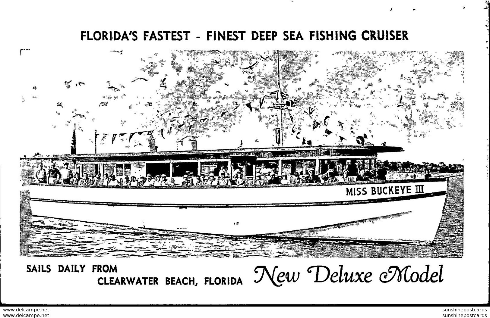 Florida Clearwater Beach Deep Sea Fishing Cruiser Miss Buckeye III - Clearwater