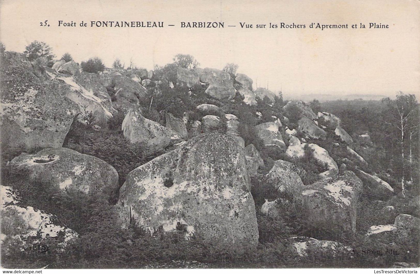 CPA - 77 - Fôret De Fontainebleau - BARBIZON - Vue Sur Les Rochers D'Apremont Et La Plaine - Barbizon