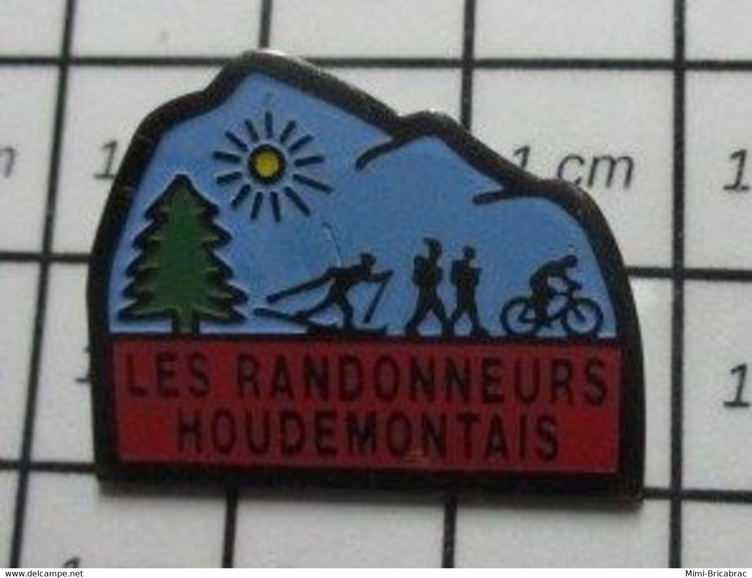 412F Pin's Pins / Belle Qualité Et Rare / ASSOCIATIONS / Ils Se Sont Pas Démontés LES RANDONNEURS HOUDEMONTAIS - Associations