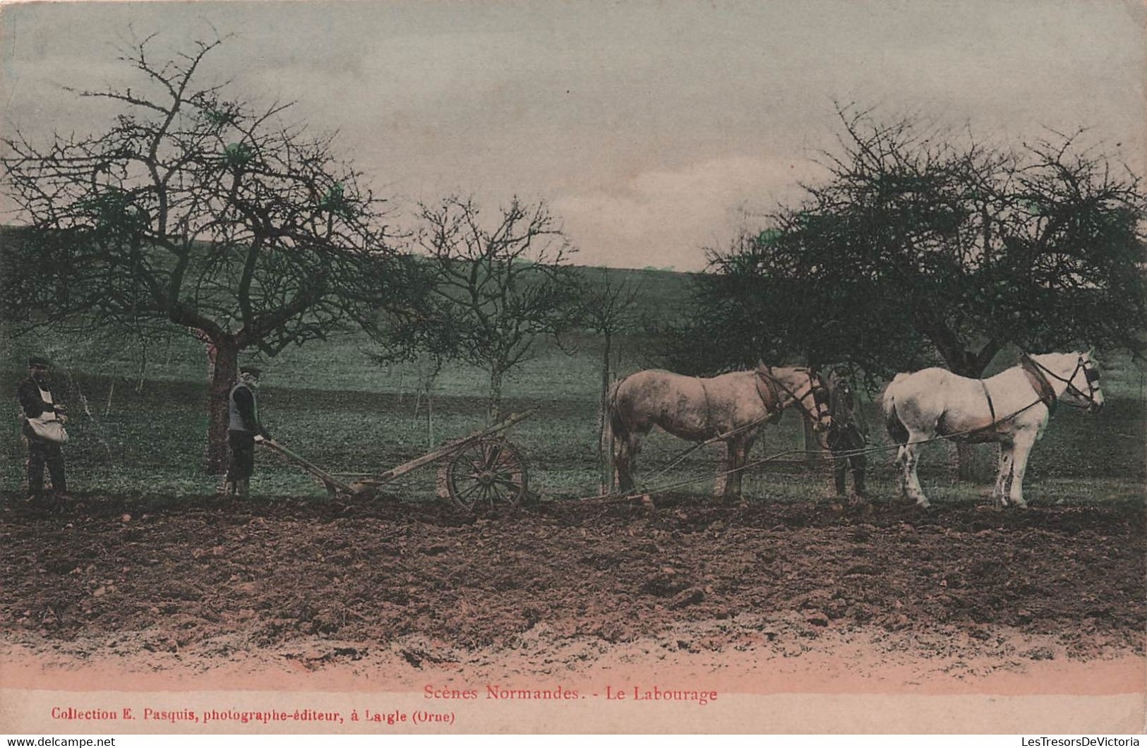 CPA - Agriculture - Scenes Normandes - Le Labourage - Soc - Attelage De Chevaux - Semeur - Collection Pasquis - Landbouw