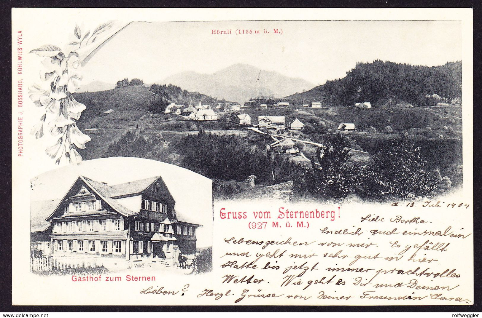 1904 Gelaufene AK Mit Stempel STERNENBERG. Mit Gasthof Zum Sternen. - Sternenberg