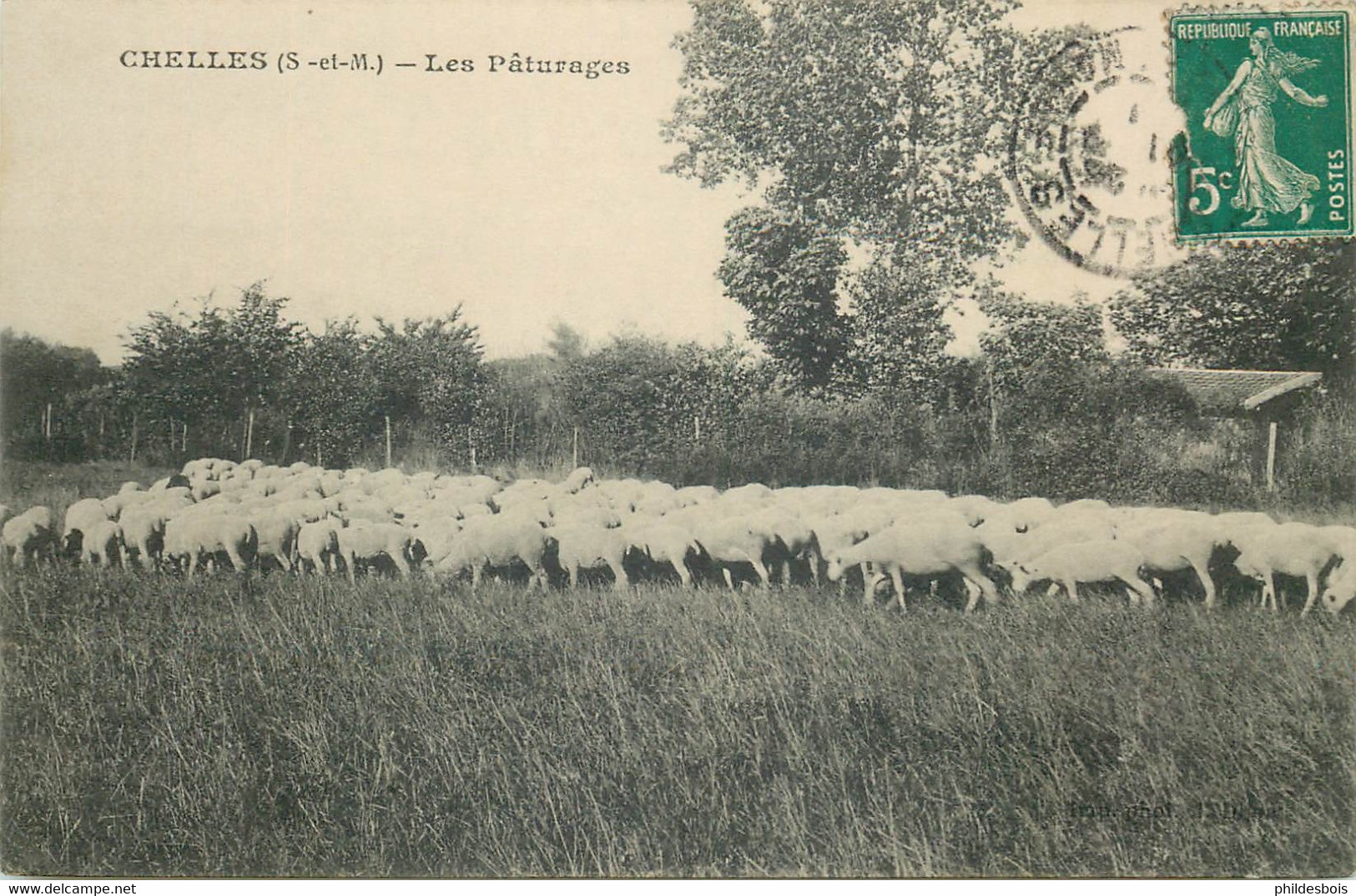 SEINE ET MARNE  CHELLES  Les Paturages - Chelles