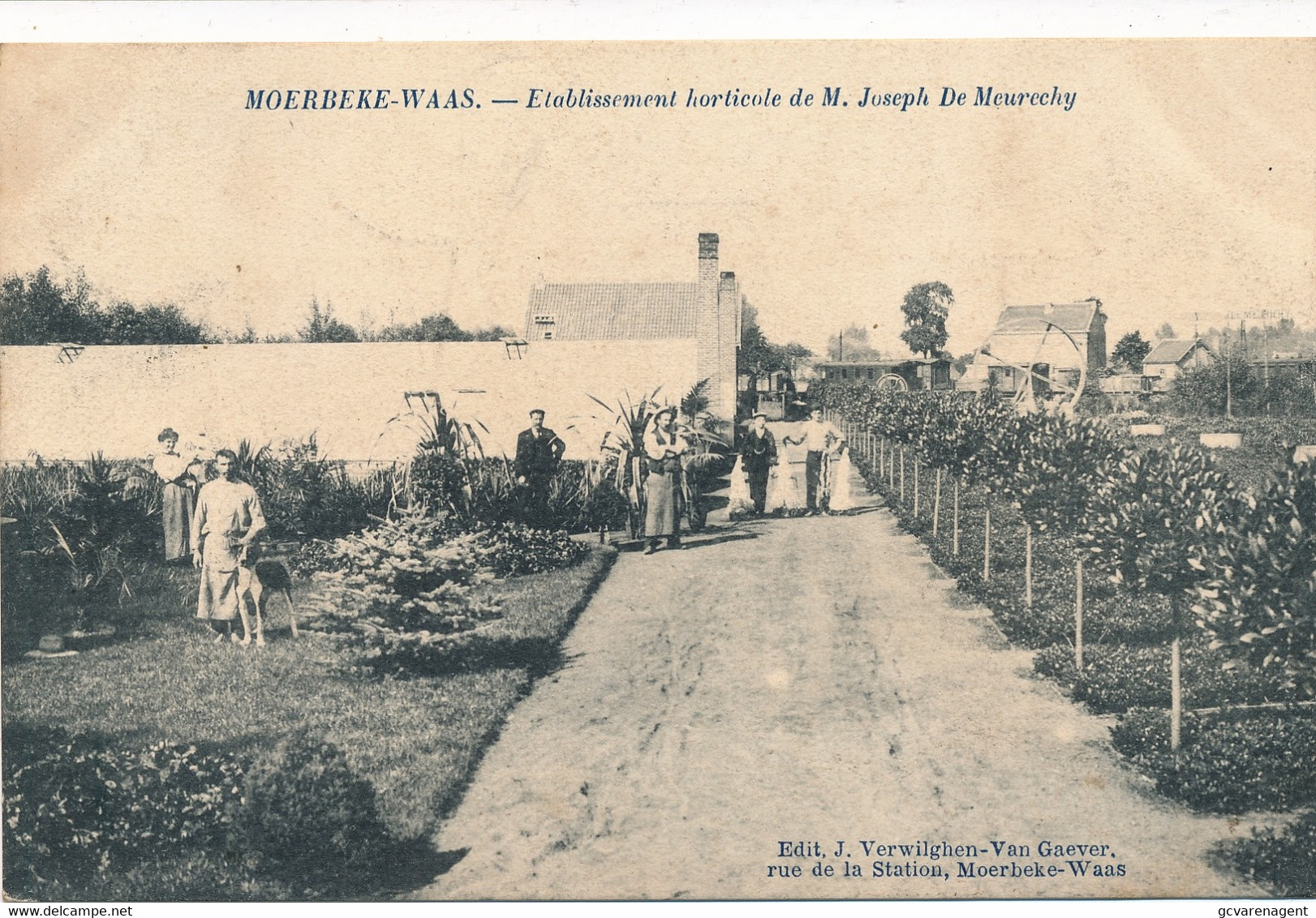 MOERBEKE WAAS = ETABLISSEMENT HORTICOLE DE M.JOSEPH DE MEURECHY      2 SCANS   BELLE  ETAT - Moerbeke-Waas