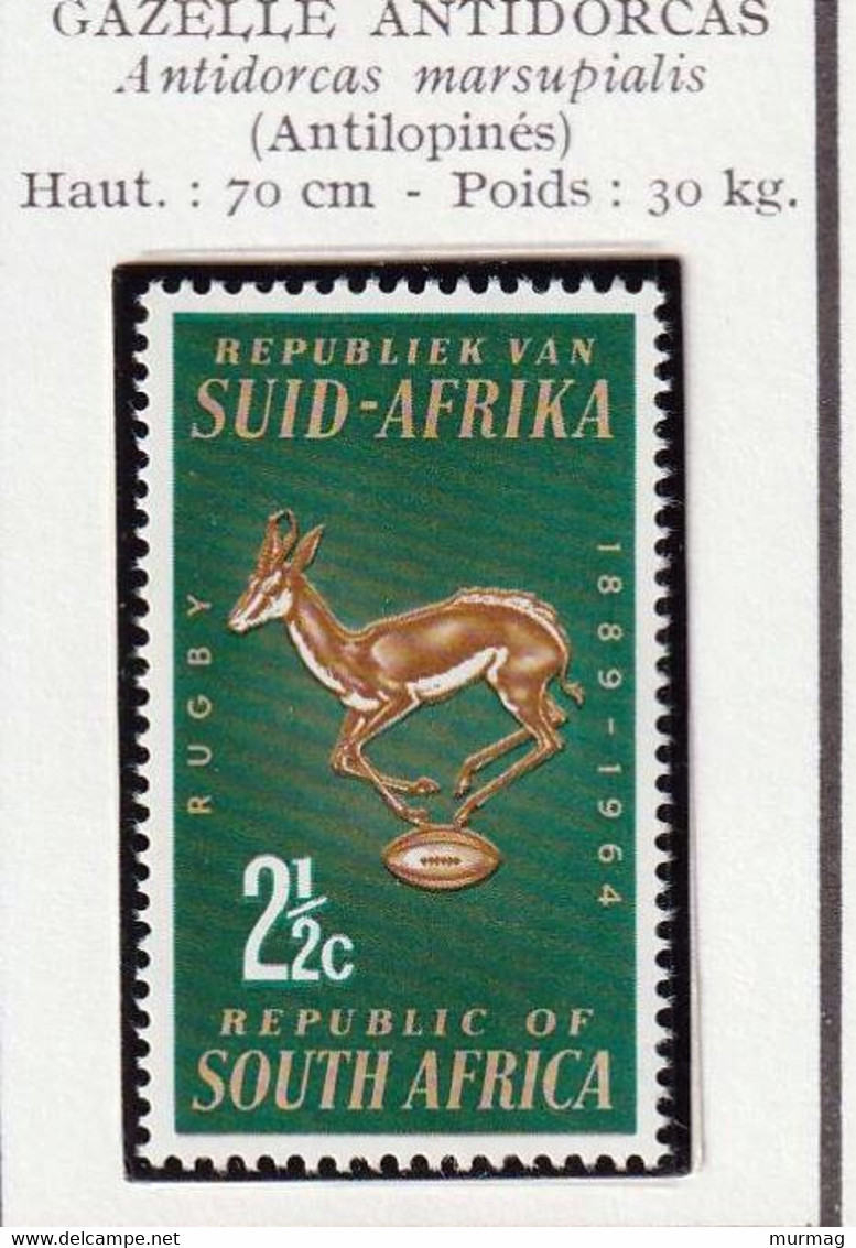 AFRIQUE DU SUD - Faune, Gazelle Antidorcas - 1964 - MNH - Unused Stamps