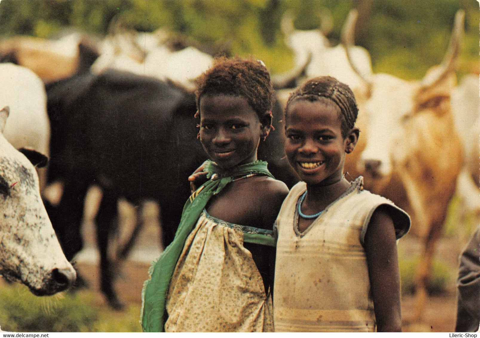 CAMEROUN - Lot de 5 cpm vierges à saisir ! ♥♥♥