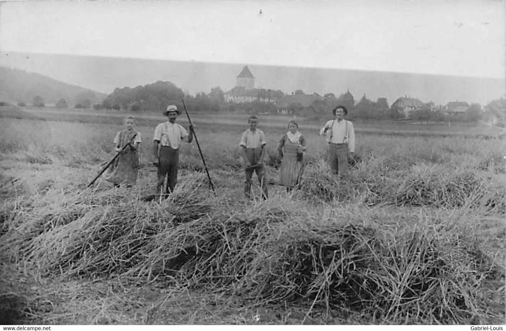 Carte-Photo Paysans Aux Champs Fenaison Foins Famille Jura En Arrière Plan ? - Cham