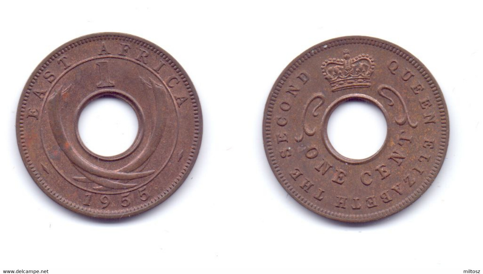 East Africa 1 Cent 1955 - Britse Kolonie