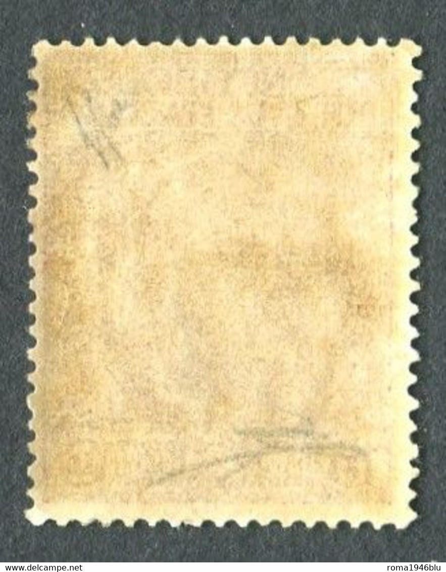 REGNO 1910 GARIBALDI 15 (+5) C. CARMINIO * GOMMA ORIGINALE F.TO DIENA - Nuovi