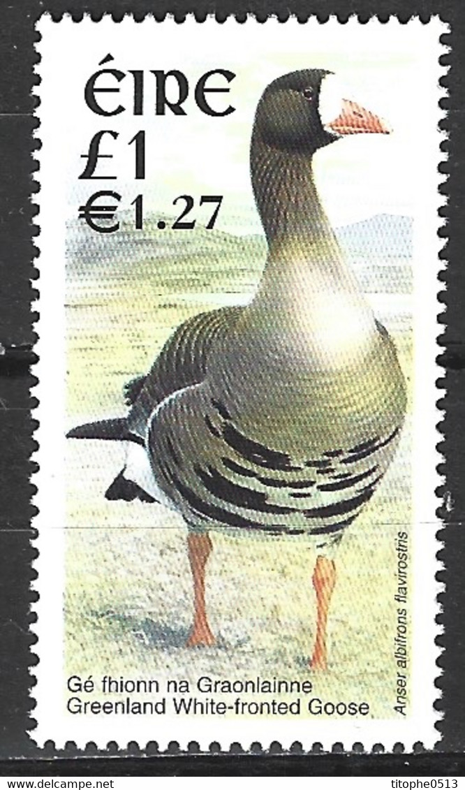 IRLANDE. N°1358 De 2001. Oie Du Groenland. - Ganzen