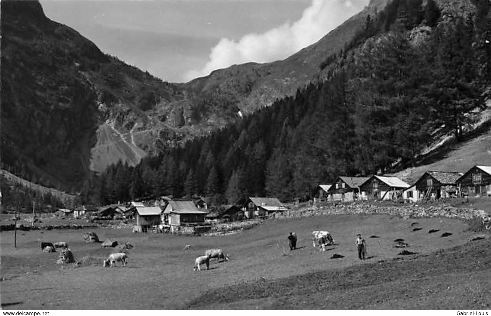 A Van-d'en-Haut S. Salvan Vaches Au Près Van D'en Haut - Salvan