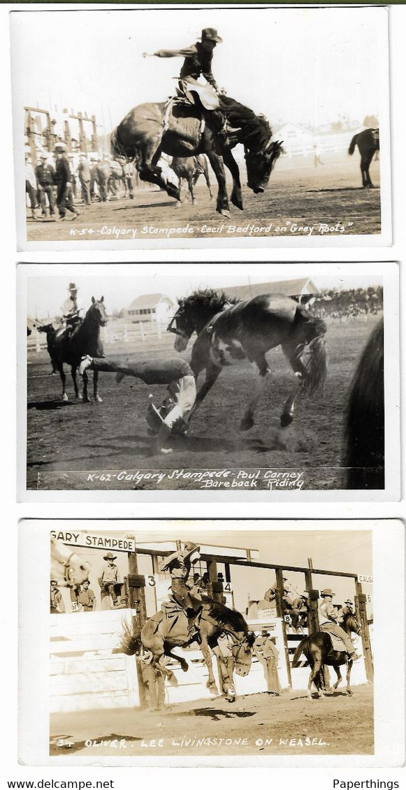 3 Real Photo Postcards, Canada, Alberta, Calgary Stampede, Rodeo, Bareback Riding, Horse, Cowboy. - Calgary