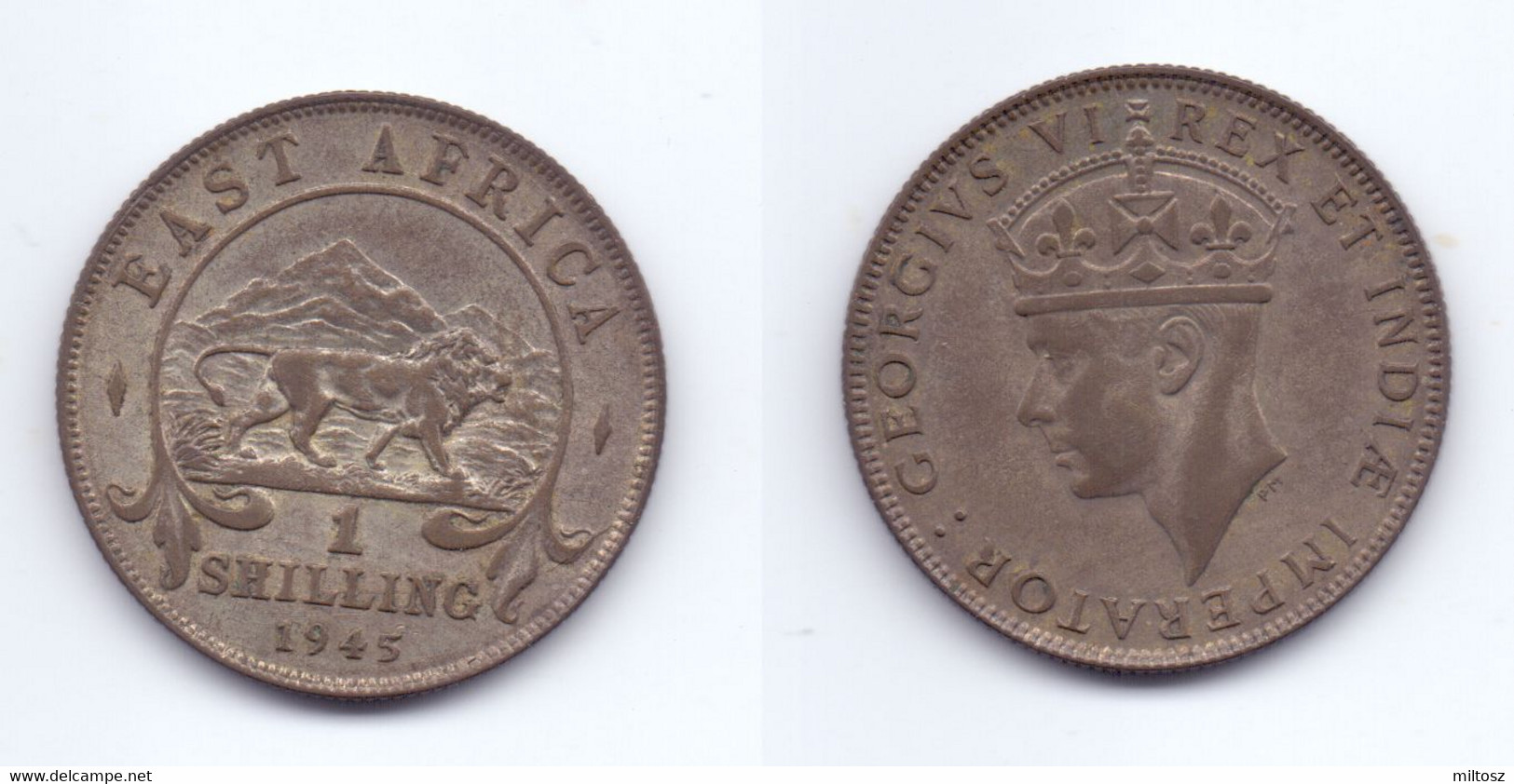 East Africa 1 Shilling 1945 SA - Colonia Británica