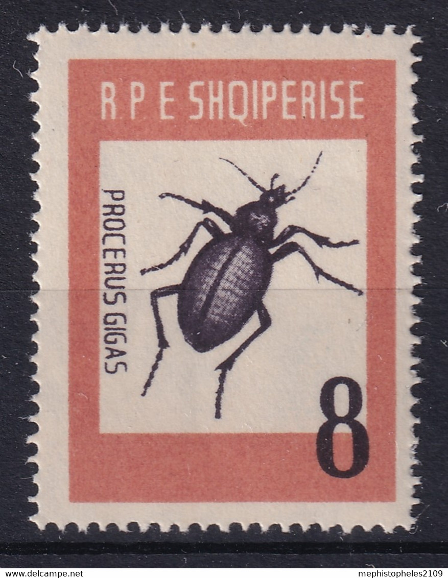 ALBANIA 1963 - MNH - Mi 737 - Procerus Gigas - Albania