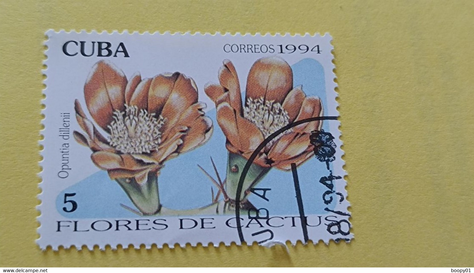 CUBA - Timbre 1997 - Fleurs De Cactus - Uno Indien (Opuntia Dillenii) - Gebruikt