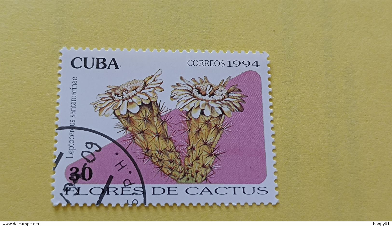 CUBA - Timbre 1997 - Fleurs De Cactus - Cactus Leptocereus Santamarinae (cactaceae) - Gebruikt