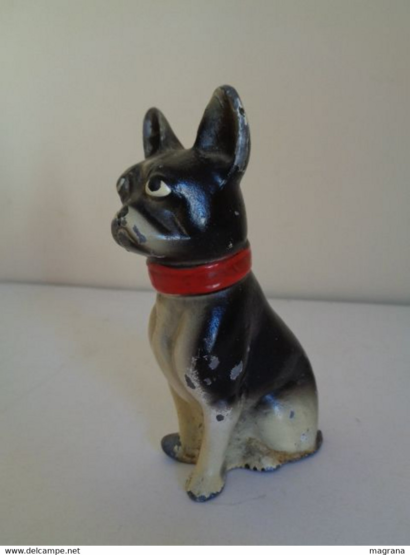 Escultura De Un Perro Boston Terrier Sentado Y Con Un Collar Rojo. Metal Pintado. Estilo Viena. - Metal