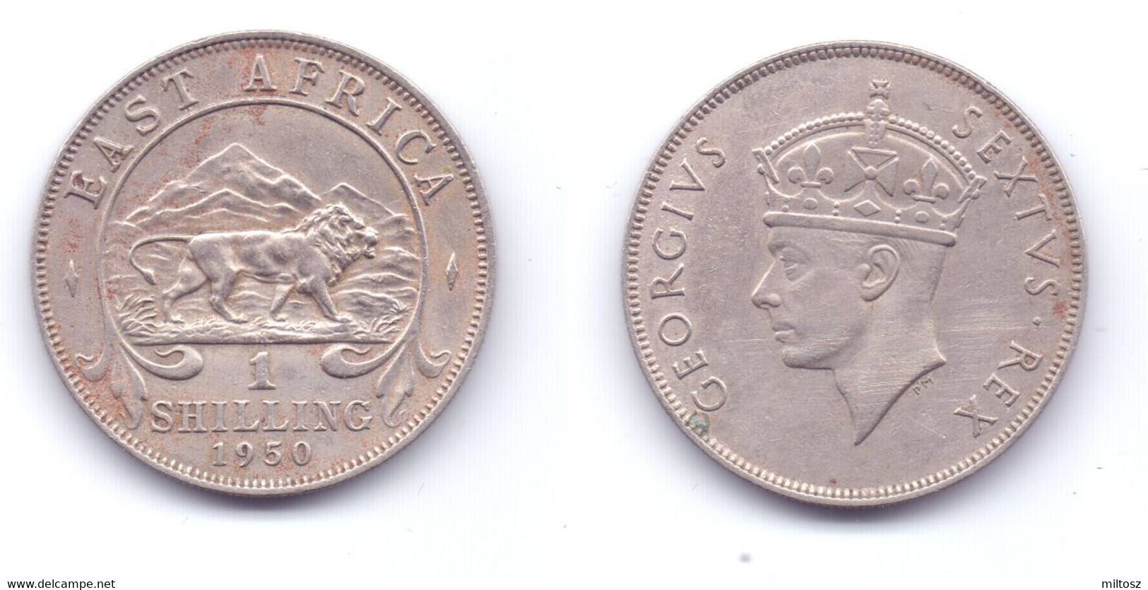 East Africa 1 Shilling 1950 H - Britse Kolonie