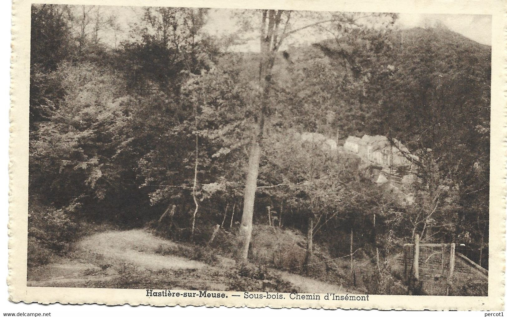 JM23.09 / CPA /  HASTIERE / LE SOUS-BOIS ET LE CHEMIN D INSEMONT ( Les Maisons En Contre-bas ) - Hastière