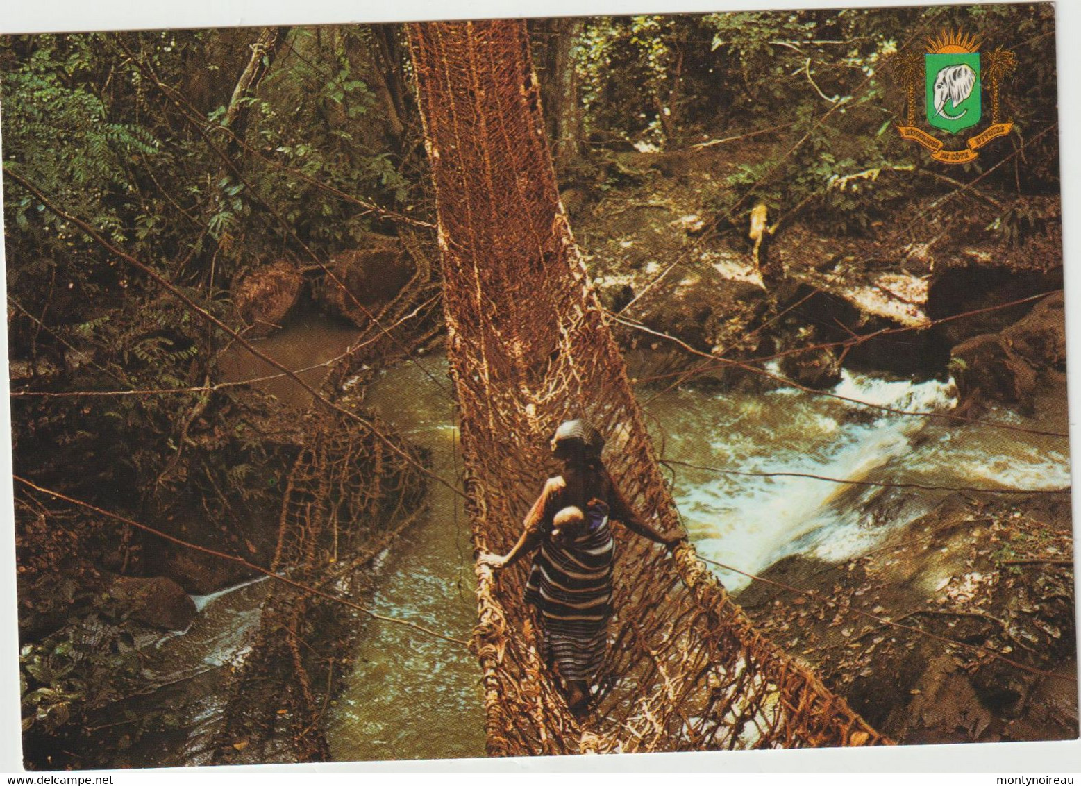 Côte D ' Ivoire : Le Pont  D E Lianes  De  Gouesseso , Région  De  Man - Côte-d'Ivoire