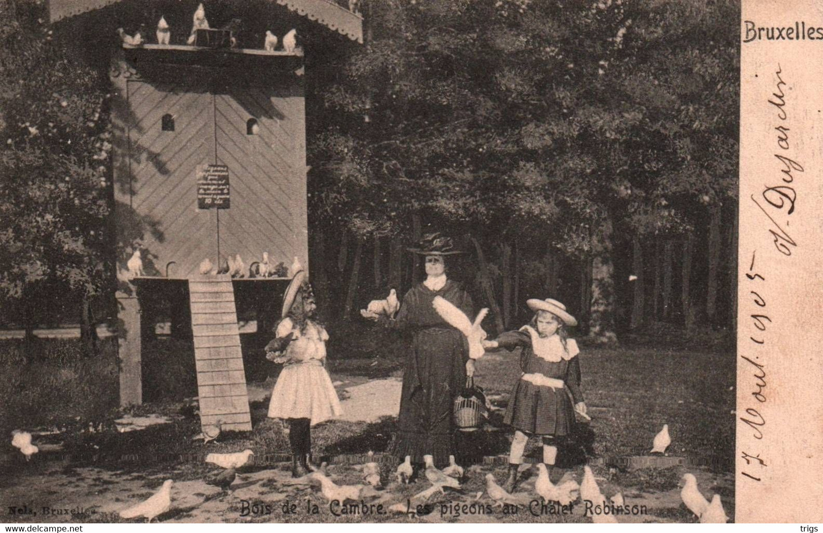 Bruxelles - Bois De La Cambre, Les Pigeons Au Châlet Robinson - Bossen, Parken, Tuinen