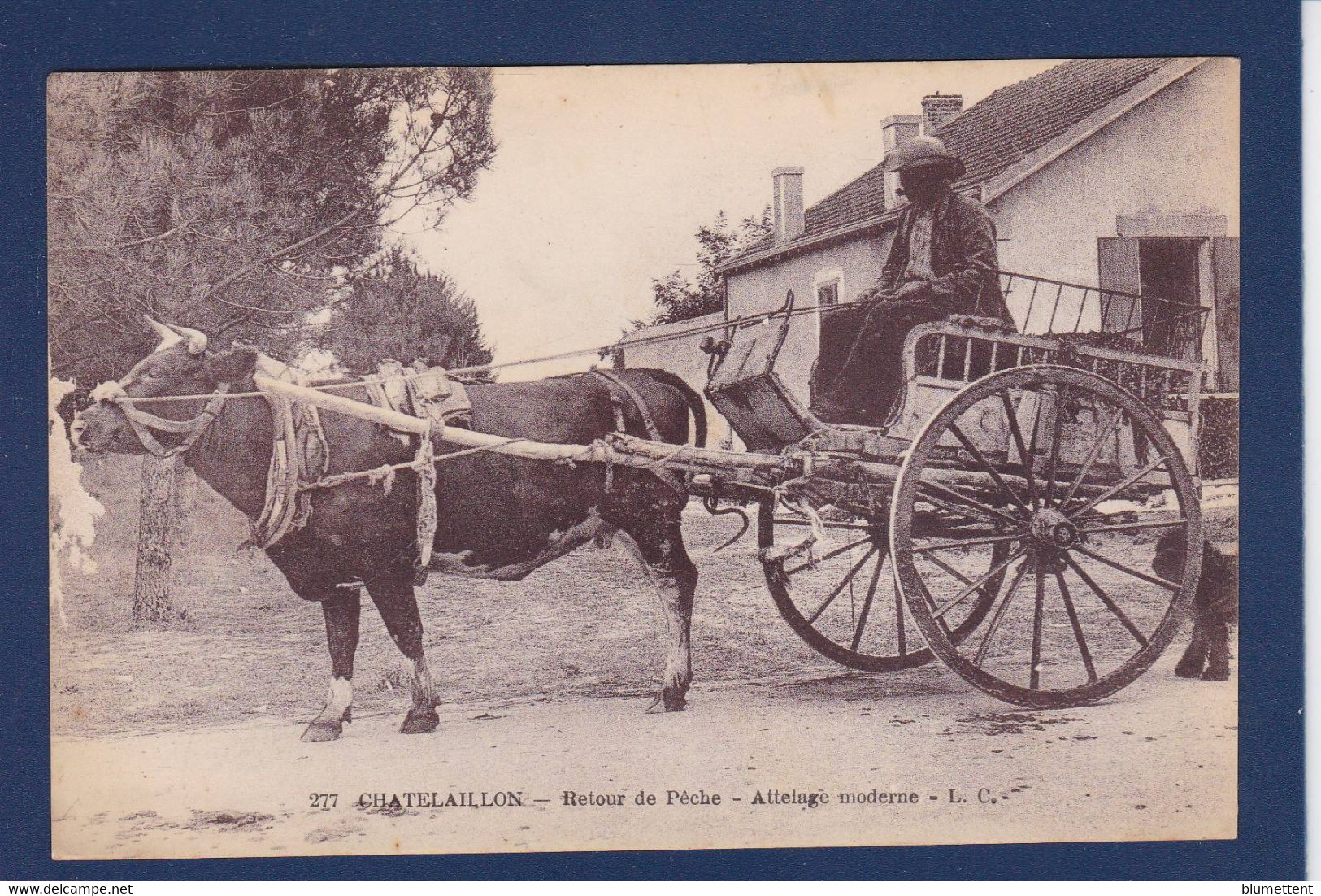 CPA [17] Charente Maritime > Châtelaillon-Plage Attelage Non Circulé - Châtelaillon-Plage