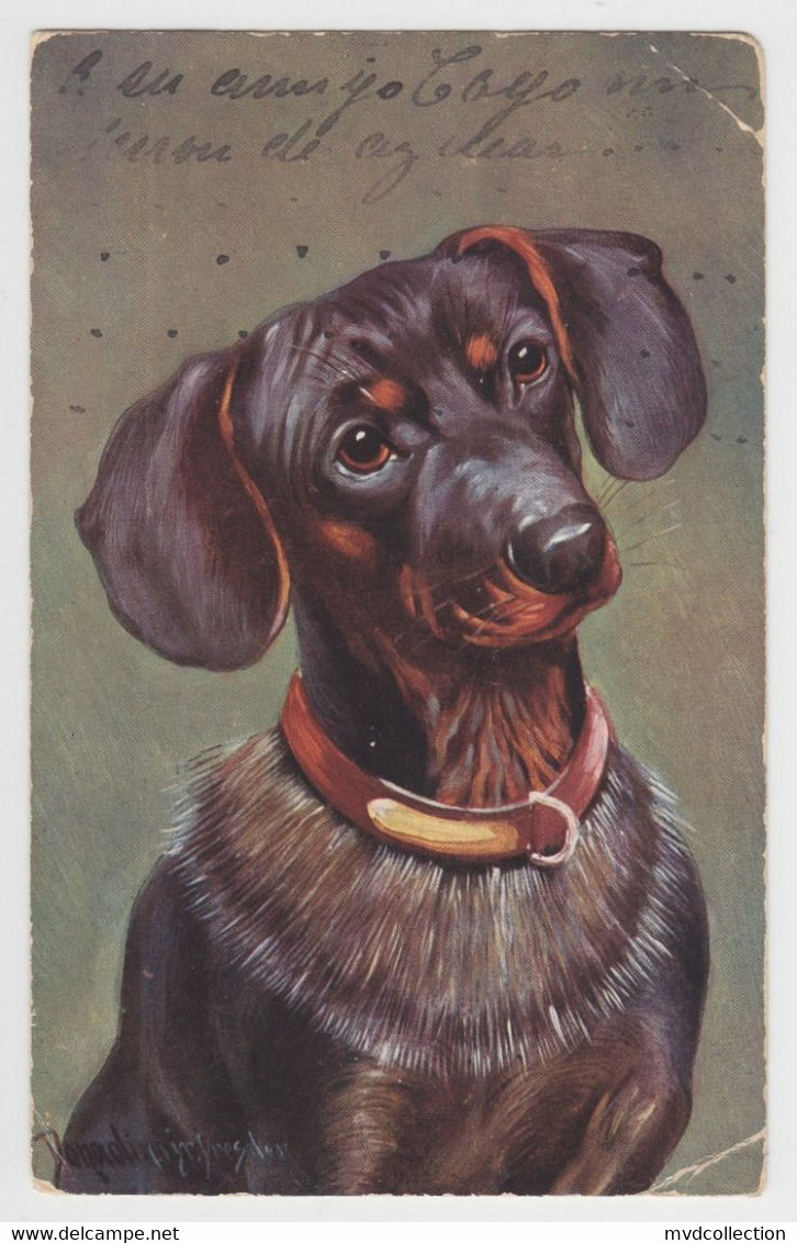 Artist Signed DONADINI, Dog PC CPA 1919 - Donadini, Antonio