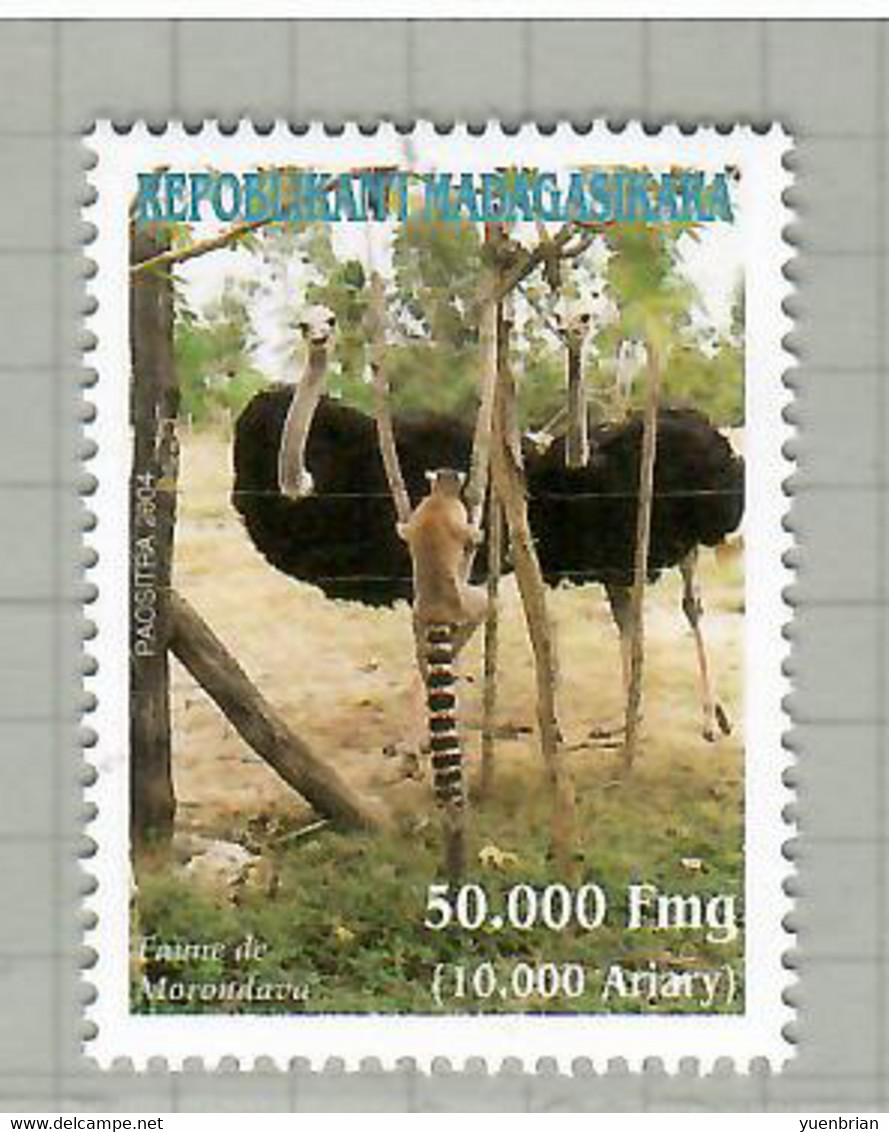 Madagascar 2004, Bird, Birds, Ostrich, 1v, MNH**, Good Condition - Autruches