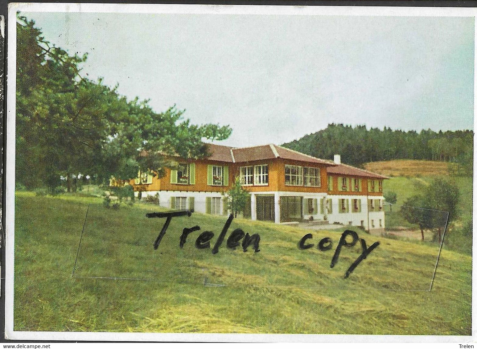 Allemagne, Elzach, Hotel Roter Bühl, 1955, Gelaufen, Circulée - Elzach