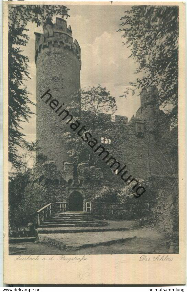 Auerbach - Das Schloss - Verlag G. Regnitz Darmstadt - Auerbach