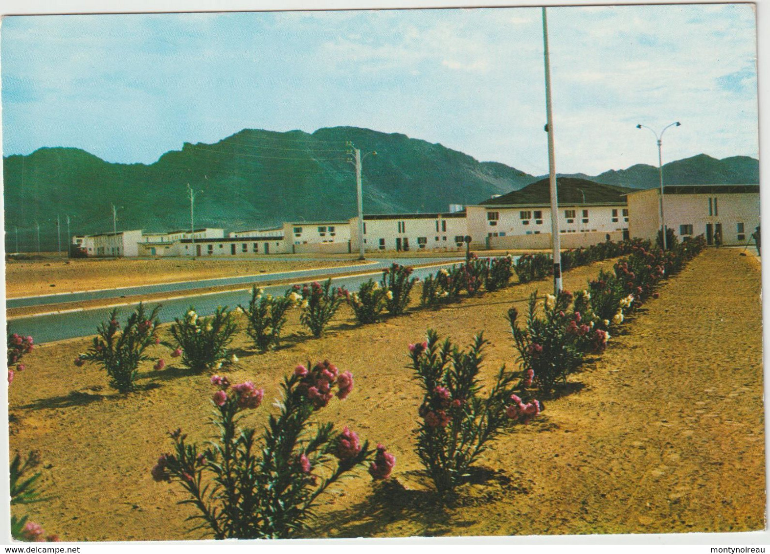 Mauritanie :   ZOUERATE :  Allée  Des  Lauriers - Mauritanie