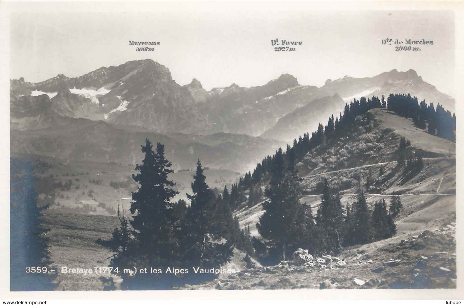 Bretaye - Et Les Alpes Vaudoises  (Muveran, Dt Favre, Dts Des Morcles)       Ca. 1930 - Morcles