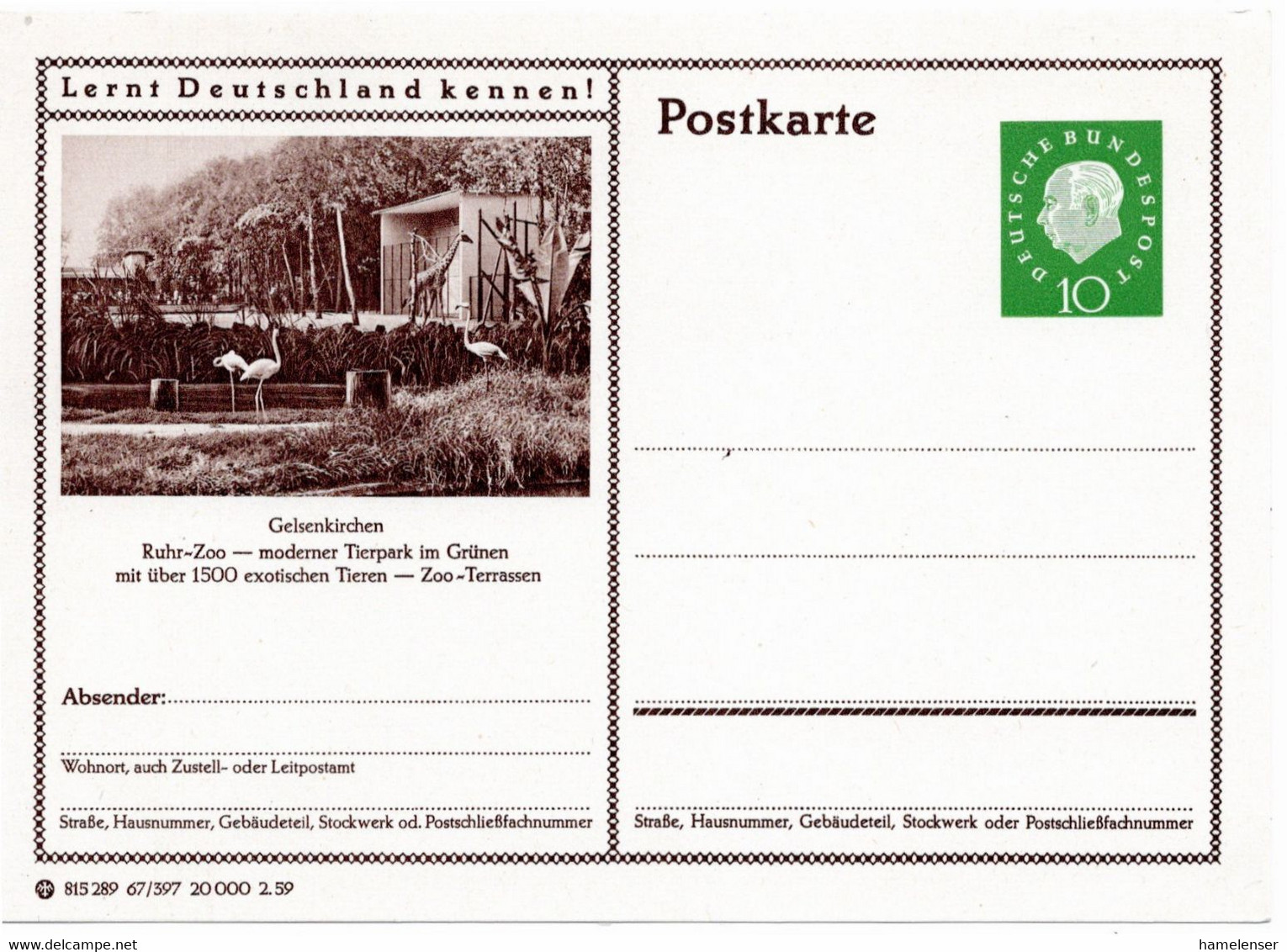 54795 - Bund - 1959 - 10Pfg Heuss III BildGAKte "Gelsenkirchen Ruhr-Zoo", Ungebraucht - Flamingo