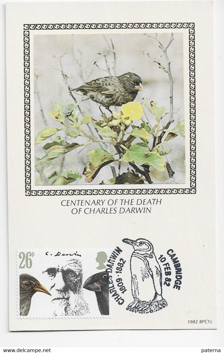3709   Máxima, Maximum,  Edinburgh  1982, Centenary Charle Darwin  ,pinguino , Penguin - Maximum Cards