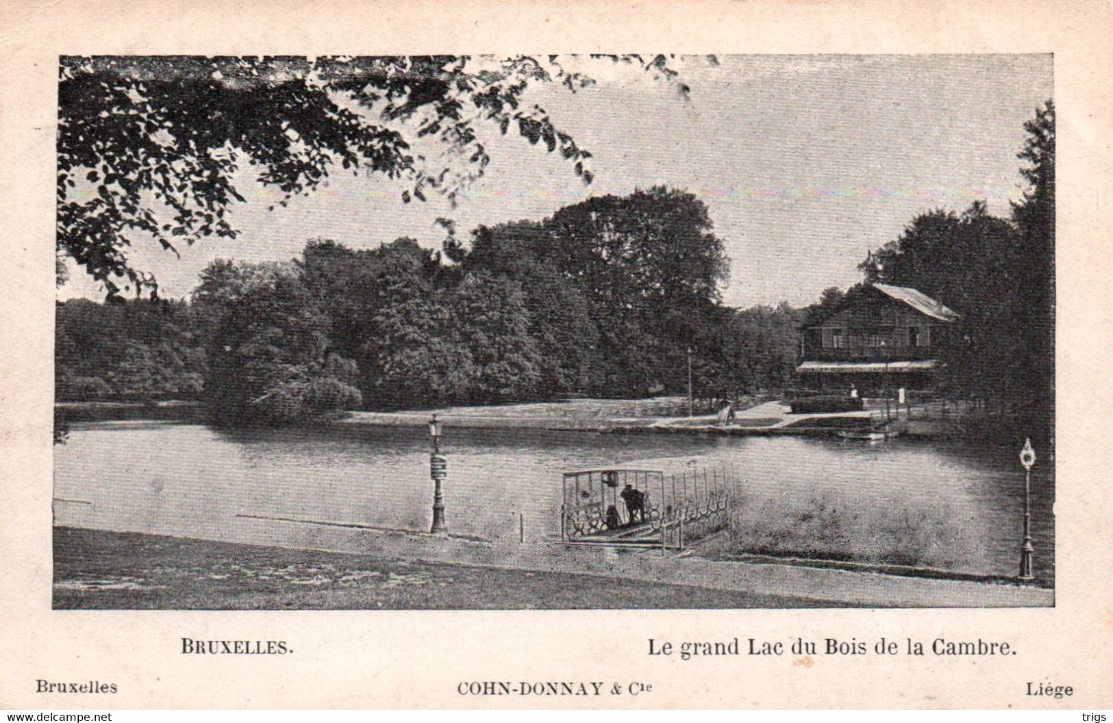 Bruxelles - Le Grand Lac Du Bois De La Cambre - Forêts, Parcs, Jardins