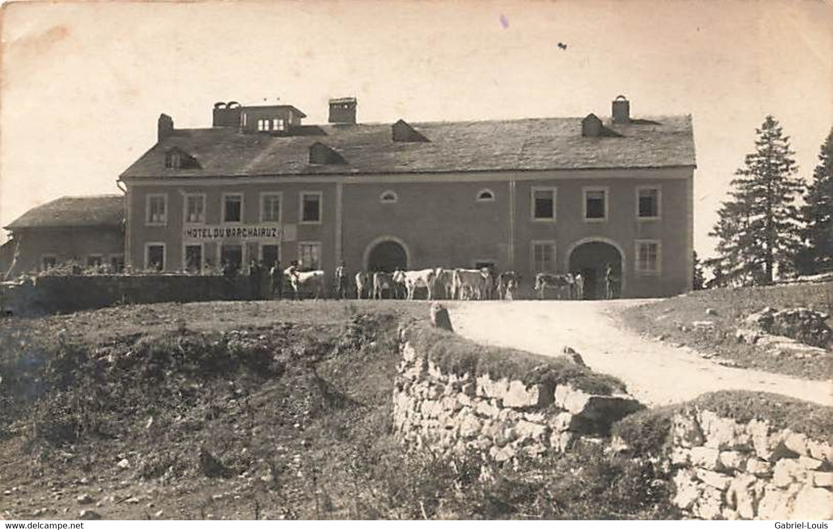 Carte-Photo Hôtel Du Marchairuz Vaches Gimel - Gimel